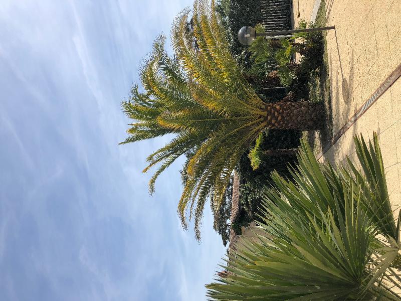Résidence Les Naïades Soulac-sur-Mer Exterior foto